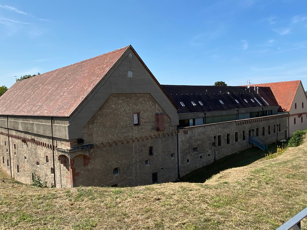 Festung Rüsselsheim景点图片