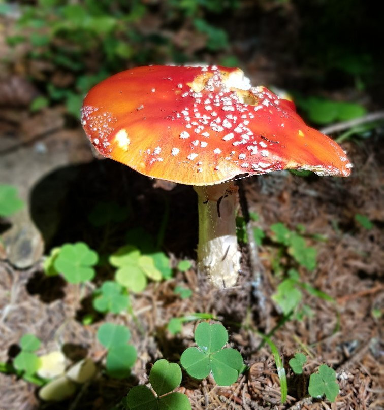 Seilbahnanlagen Hirzer景点图片