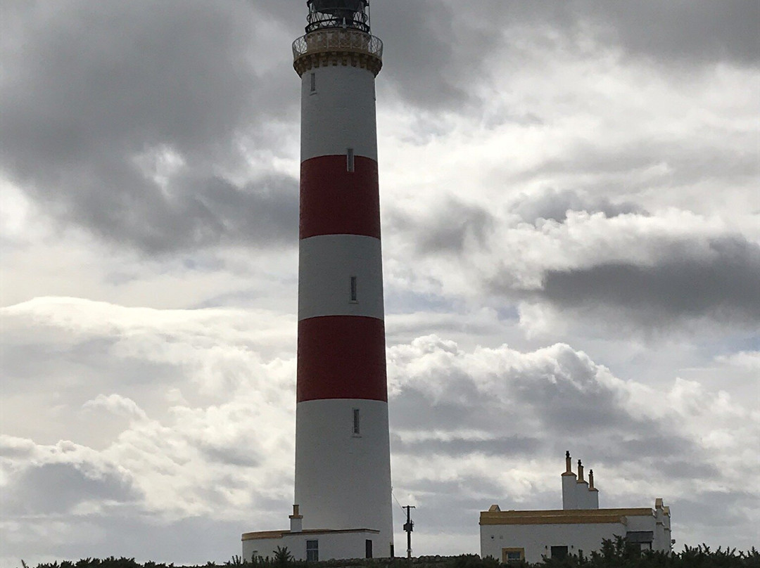 Tarbat Ness Lighthouse景点图片