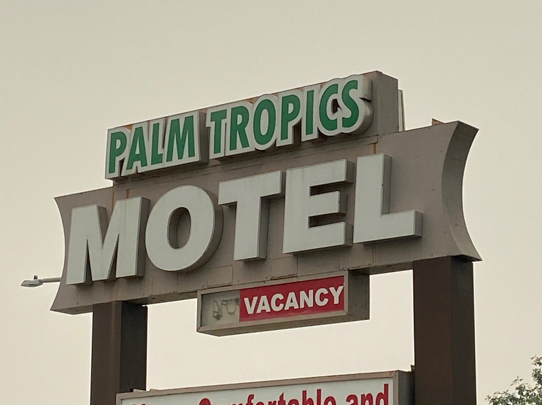 Palm Tropics Motel主图