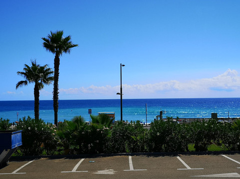 莫哈卡尔酒店住宿-热带绿洲最佳酒店