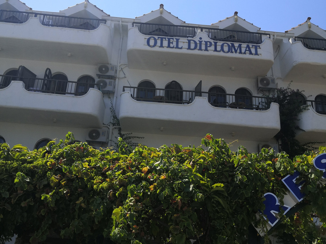 Diplomat Hotel主图