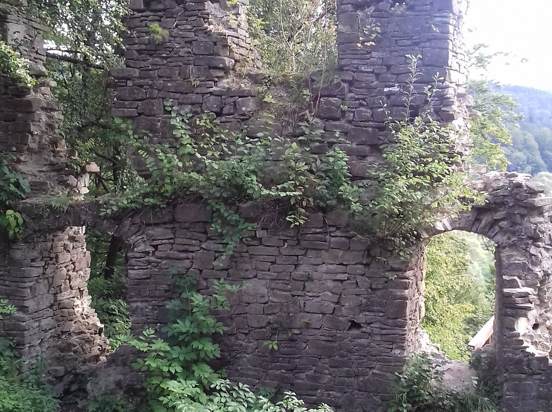 Ruiny Zamku Sobień景点图片