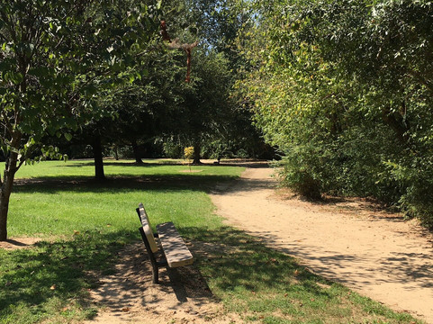 Sam Pitts Park-Clarkesville必去景点