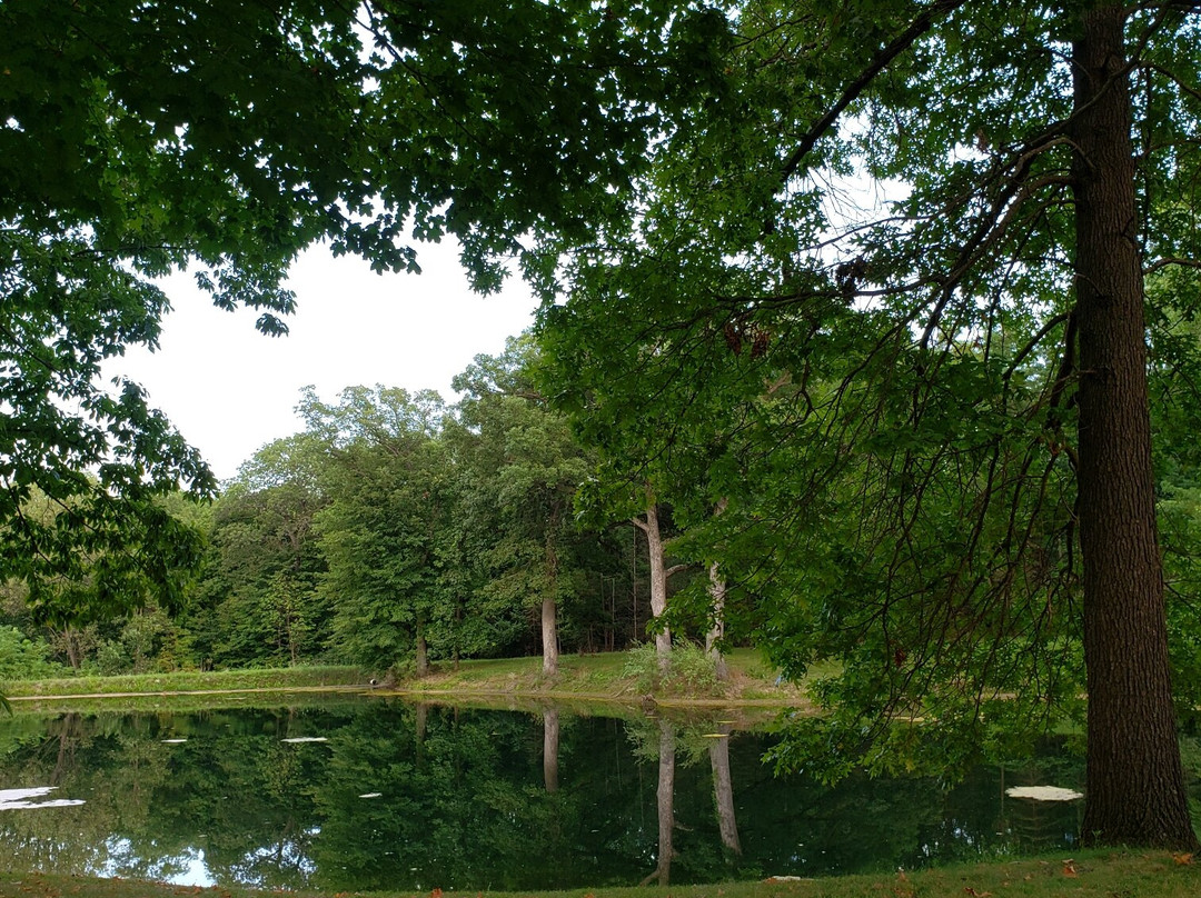 Old Mill Vineyard-Metamora必去景点