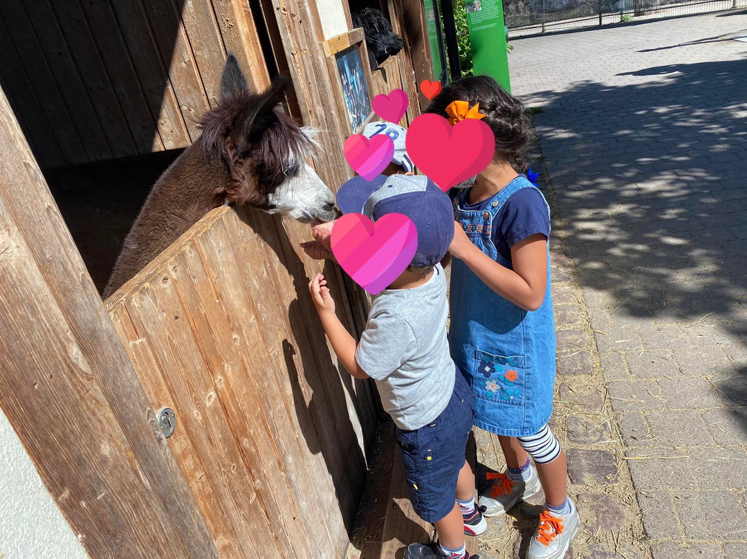 Wildpark Pforzheim-普福尔茨海姆必去景点