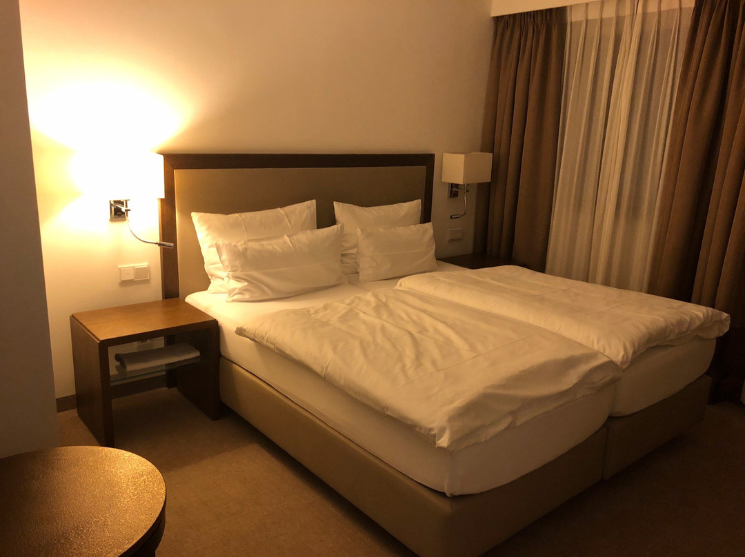Hotel Kokenhof主图
