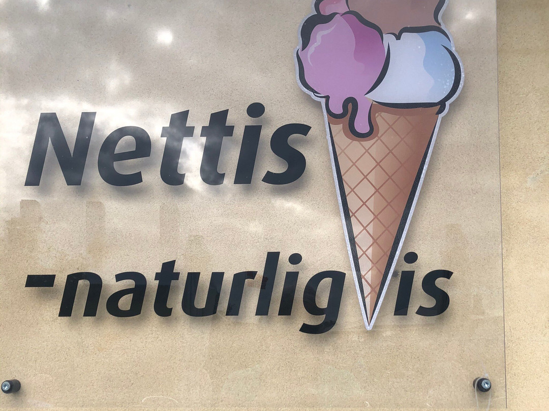Nettis