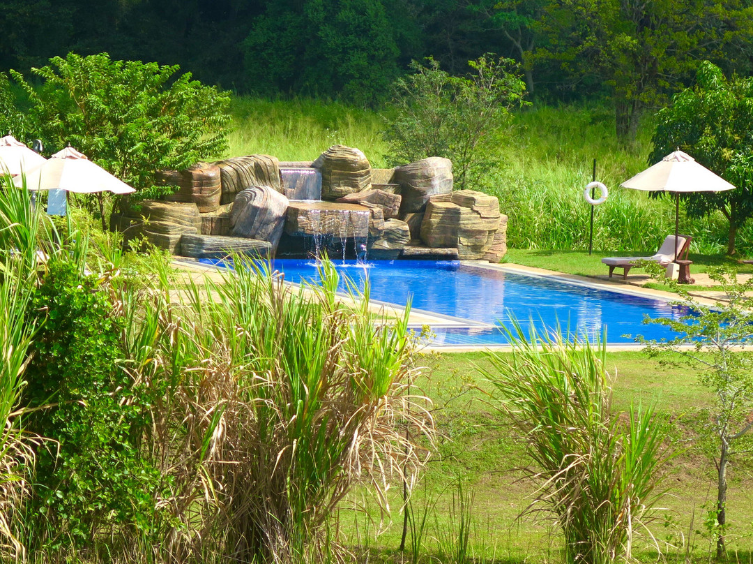 Seerock the King's Domain主图