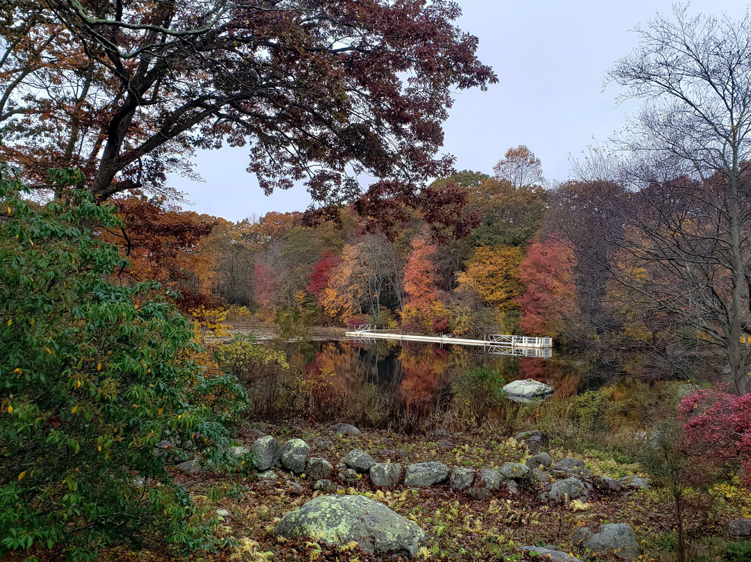 Connecticut College Arboretum-新伦敦必去景点