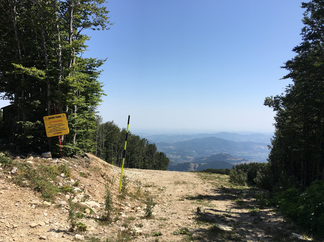 Monte Catria景点图片