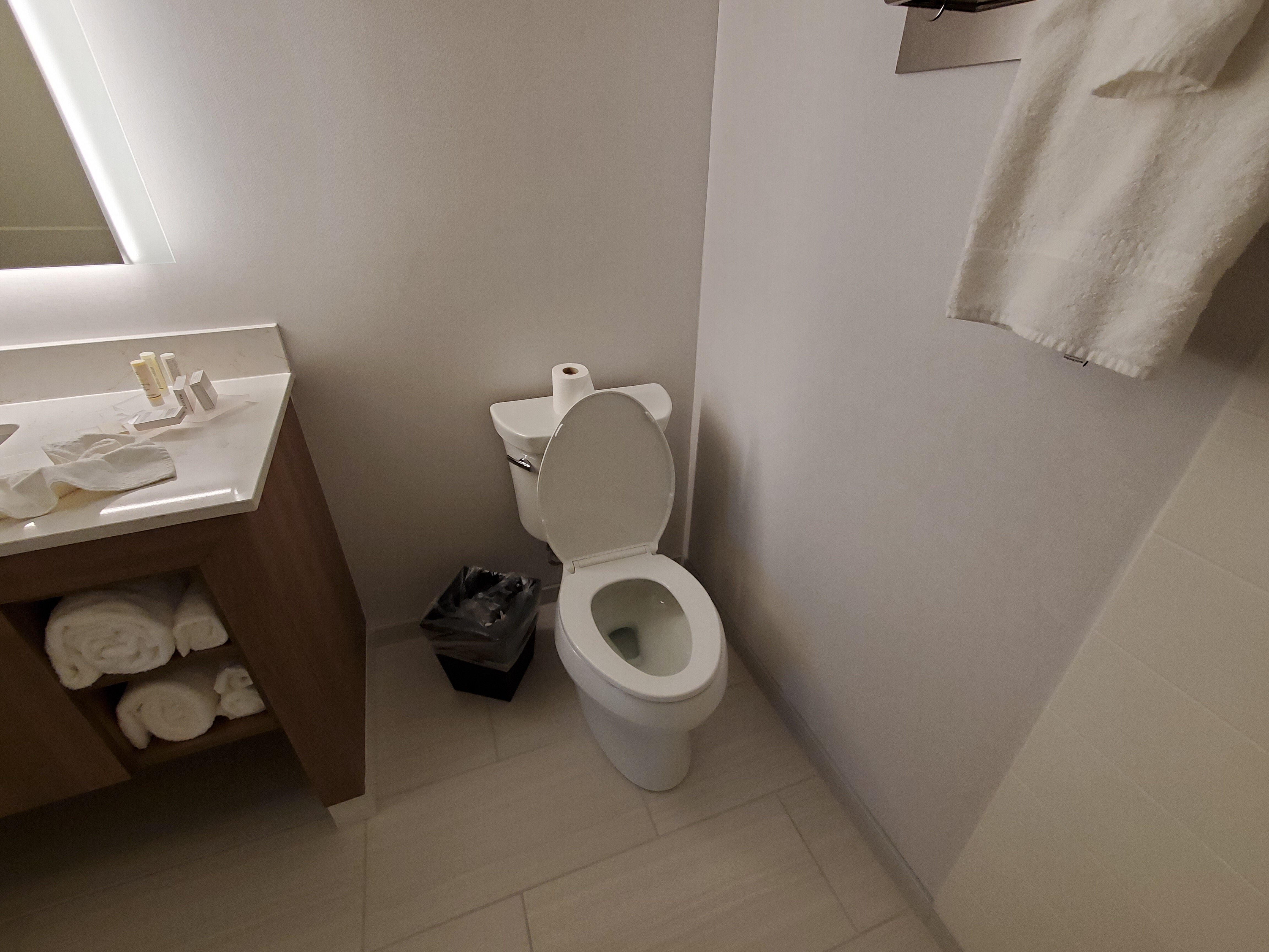 Residence Inn by Marriott Palm Beach Gardens-浴室