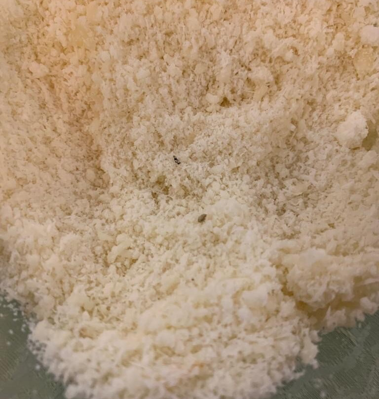 希尔米塔吉酒店主图