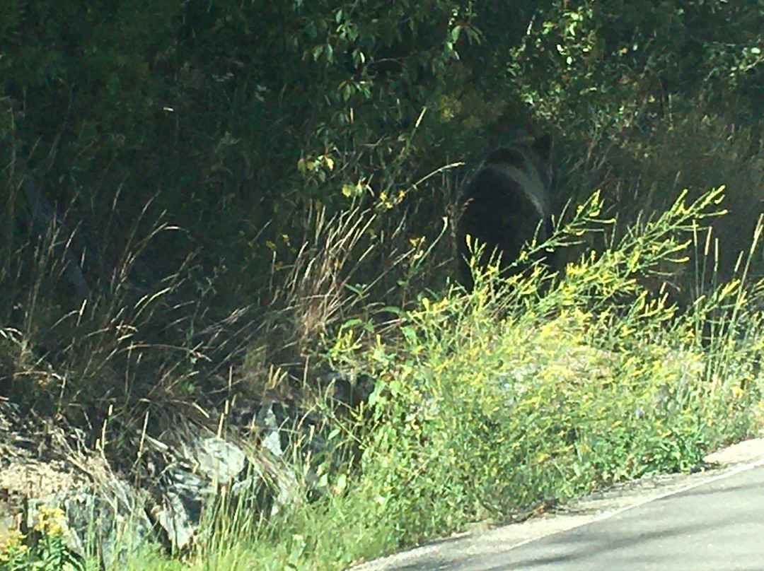 Pacific Creek Trailhead