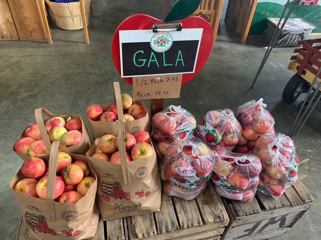 Haney's Appledale Farm-Nancy必去景点