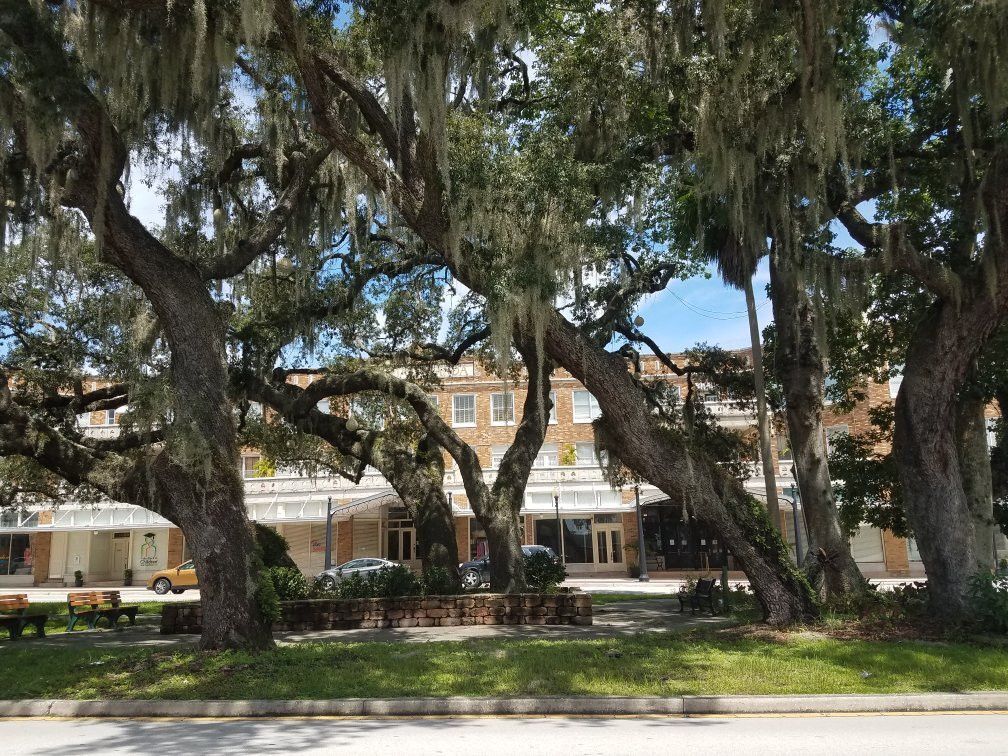 The Hotel Jacaranda主图