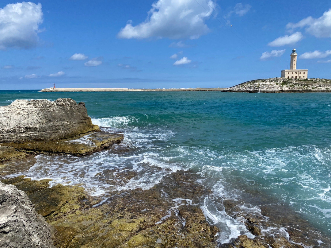 Faro di Vieste-维耶斯泰必去景点