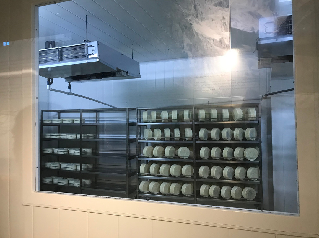 Queso Cabrales Quesería Vega de Tordìn景点图片