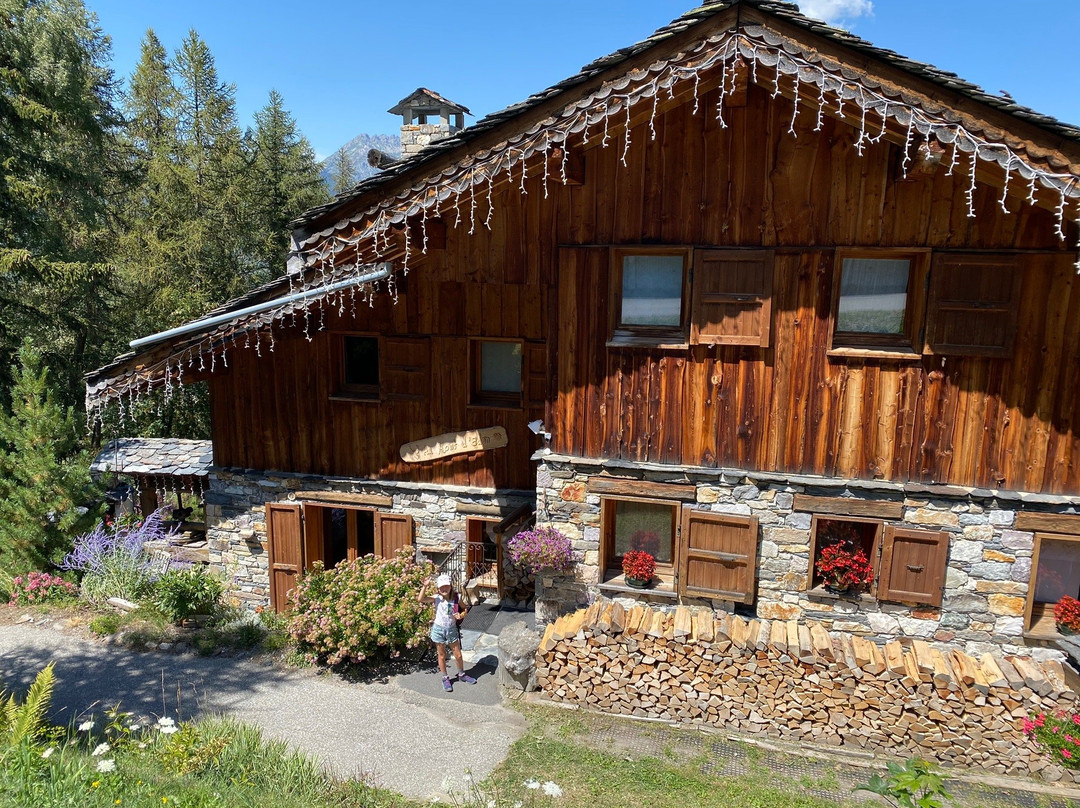 Chalet "Au Mont d'Eden"主图