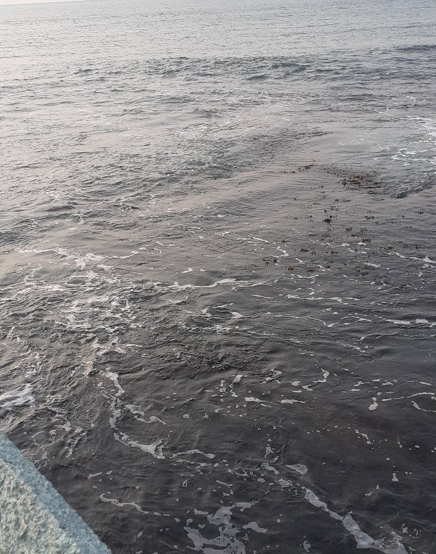 Salsa Beach Hotel主图