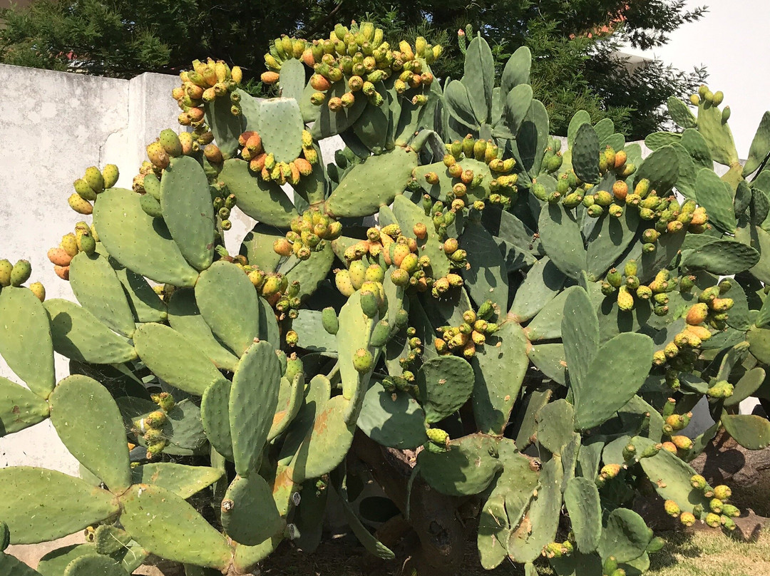 B&B Il Portico主图