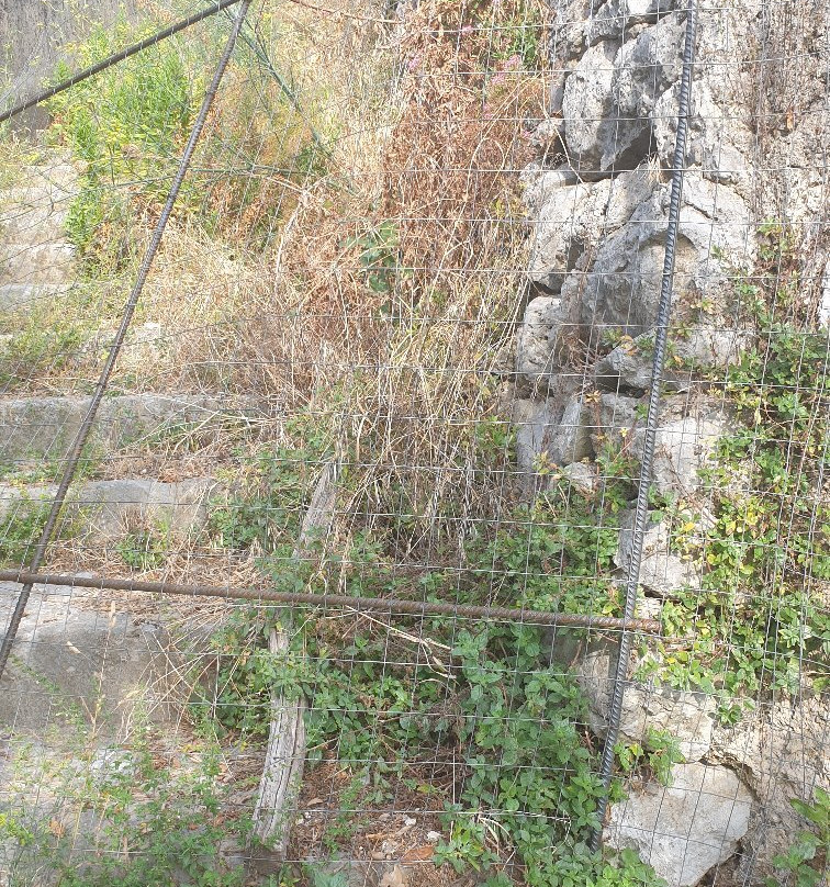 Maestra dei Villaggi Road景点图片