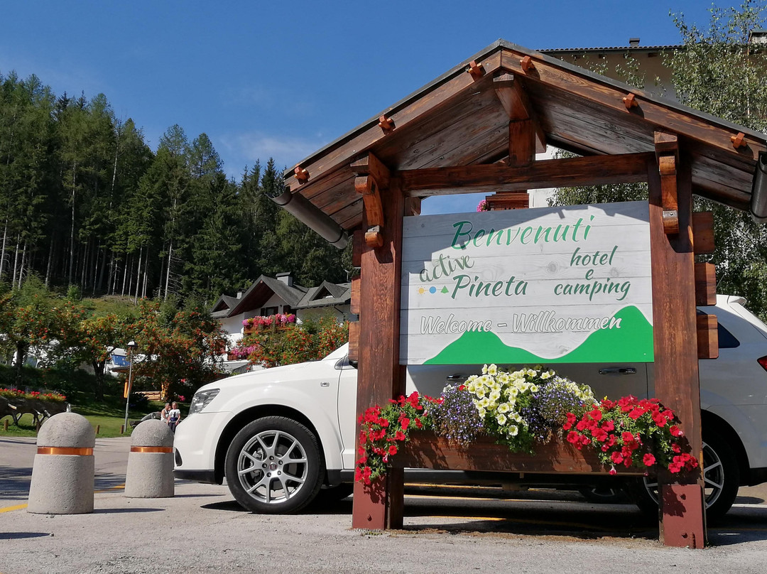 Active Hotel Pineta & Camping主图