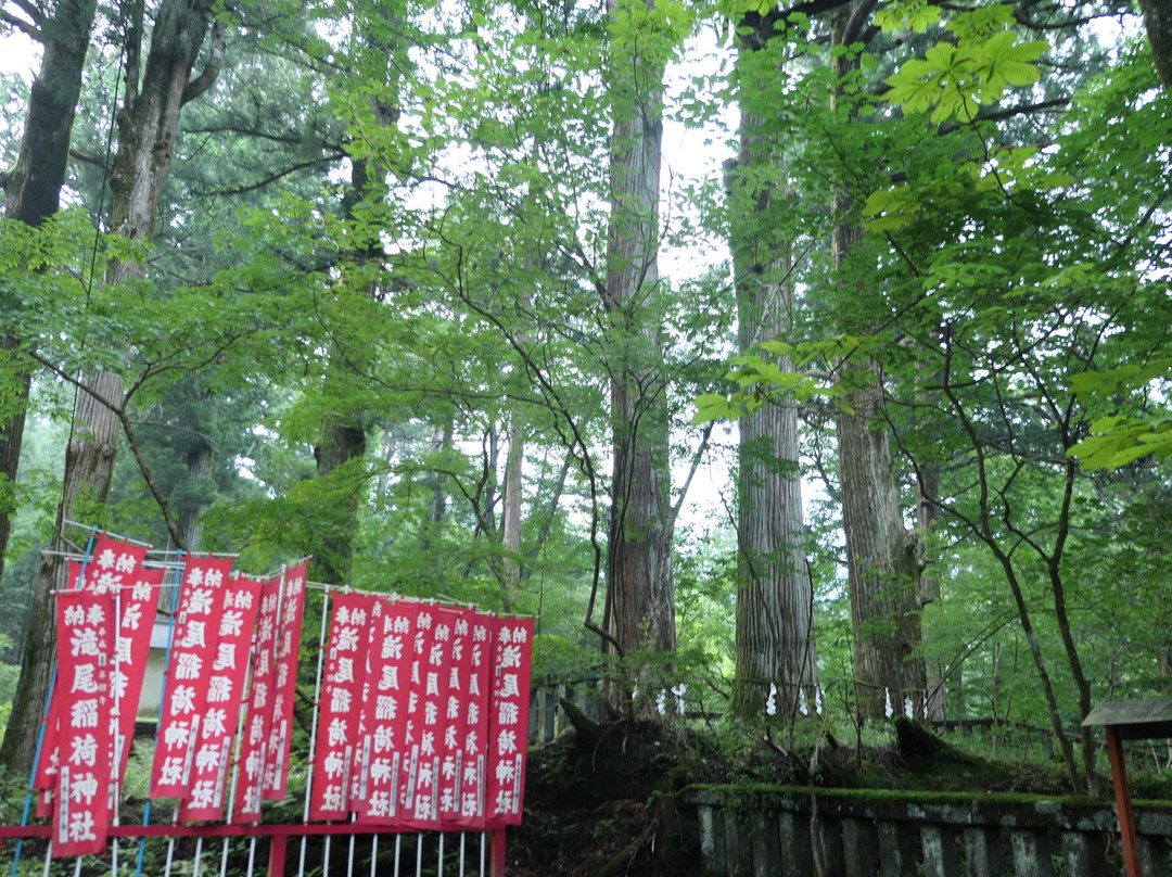Takinoo Inari Shrine-日光市必去景点