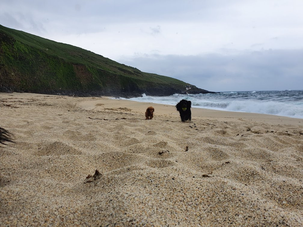 Portheras Cove-Pendeen必去景点