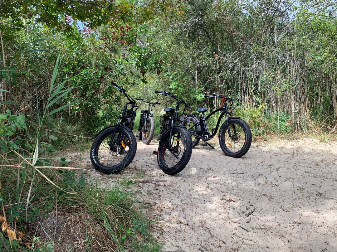 Les Vélos Du Lac