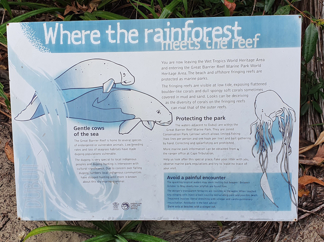 Myall Beach-Cape Tribulation必去景点