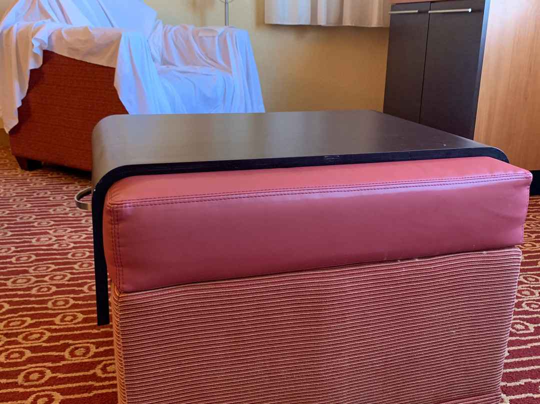 TownePlace Suites by Marriott Saginaw主图