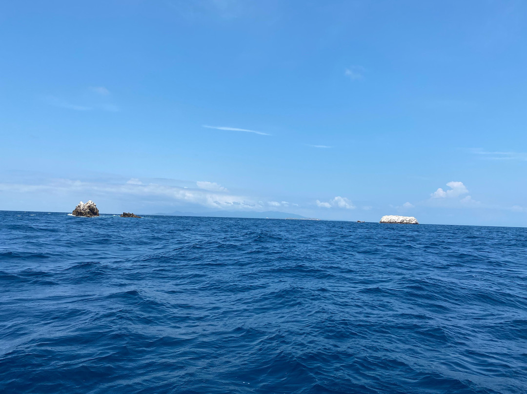 Vallarta Under Sea景点图片