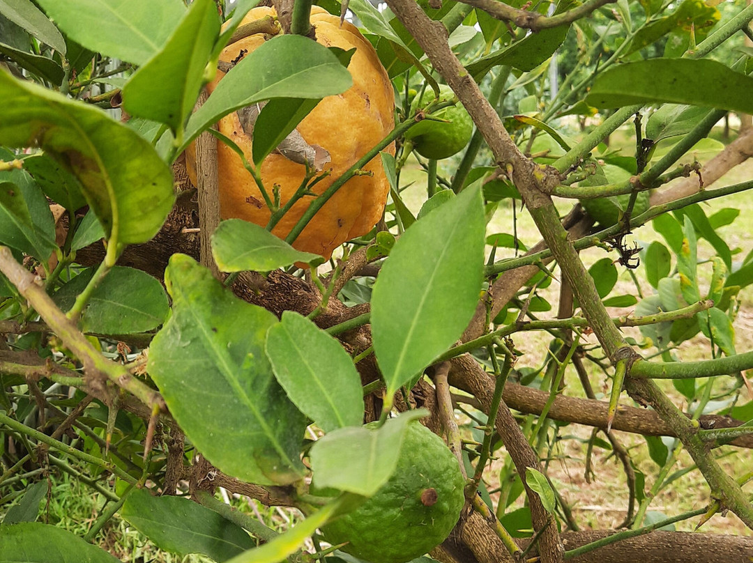 Domaine du Jasson-La Londe Les Maures必去景点