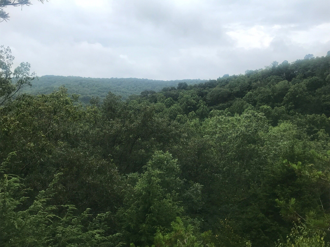 Conkles Hollow State Nature Preserve-Rockbridge必去景点