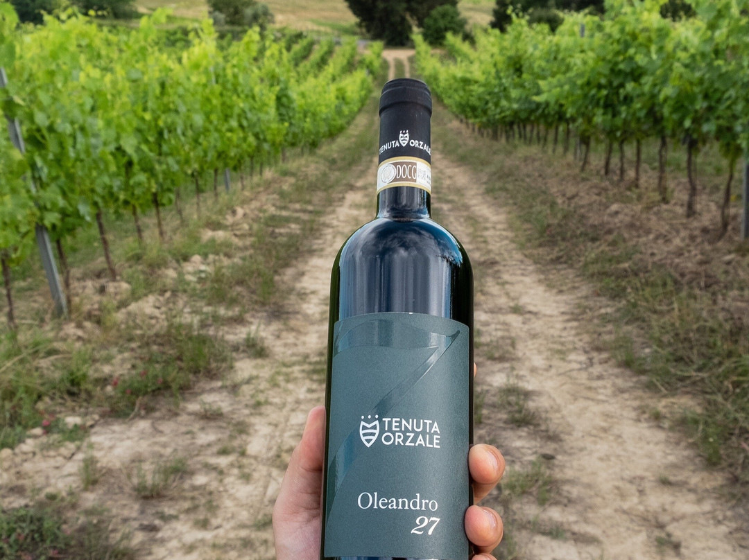Tenuta Orzale-蒙塔约内必去景点