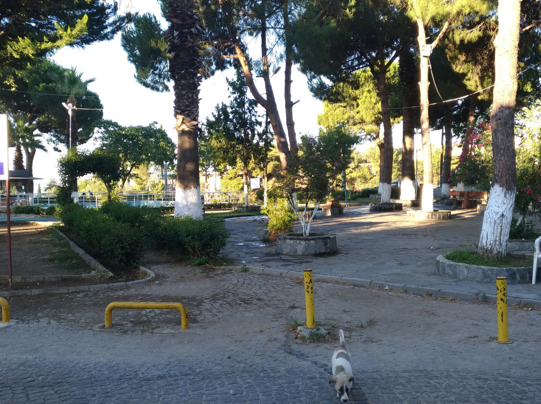 Altinoluk Merkez Parki景点图片