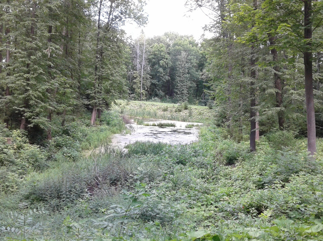 S.N. Khudekova Manor-Yerlino必去景点