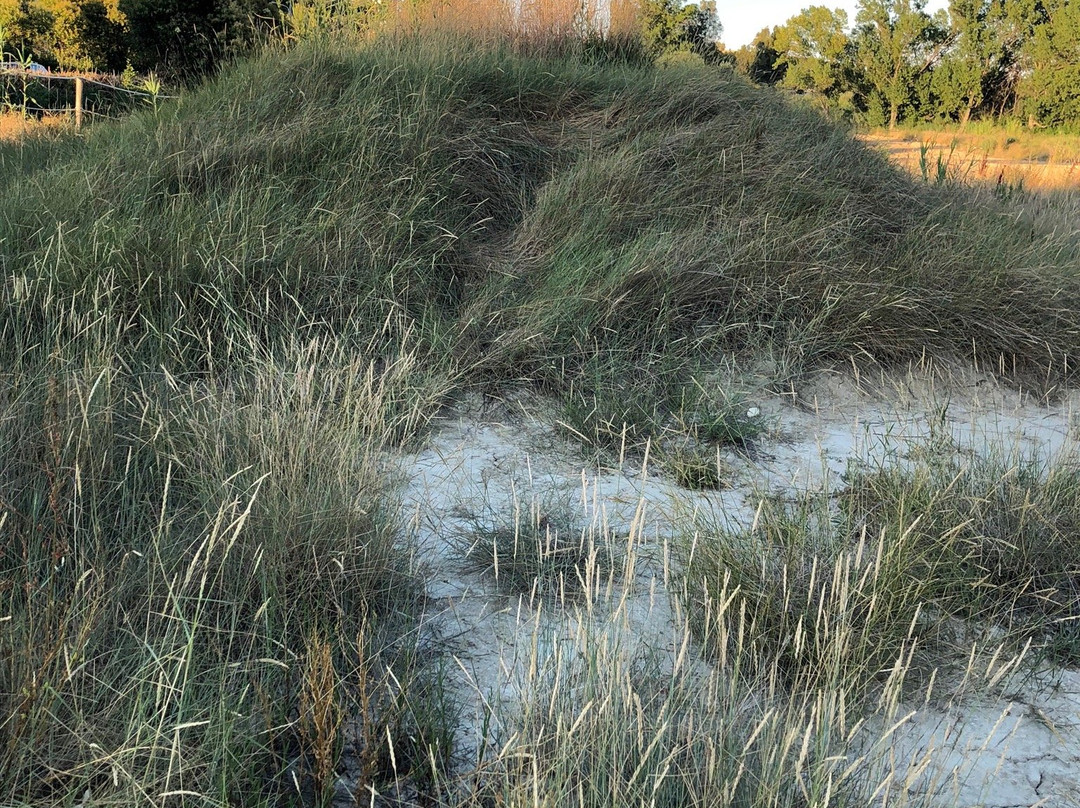 Parco Geologico del Vulcanello Cenerone-Pineto必去景点