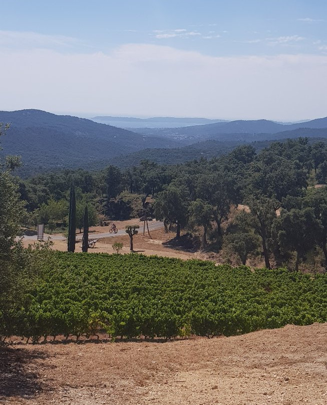 Domaine des Beaucas景点图片