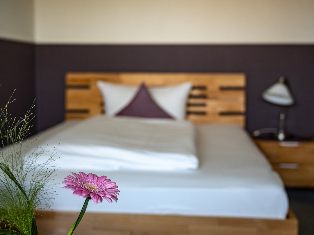 Schlei Hotel主图