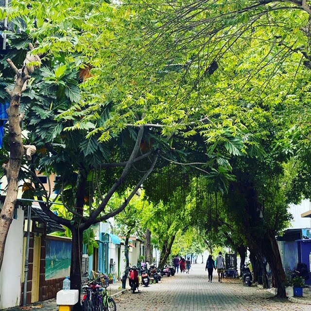 Green Flora-浴室