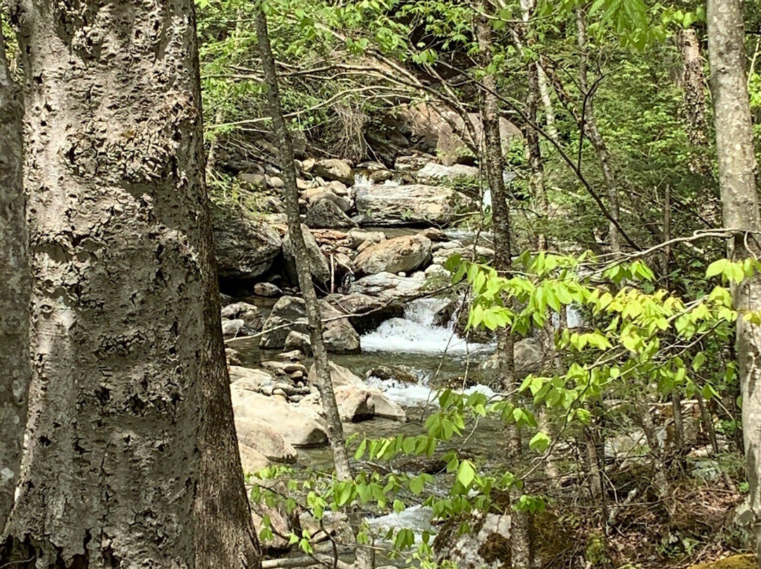 Waterfall景点图片