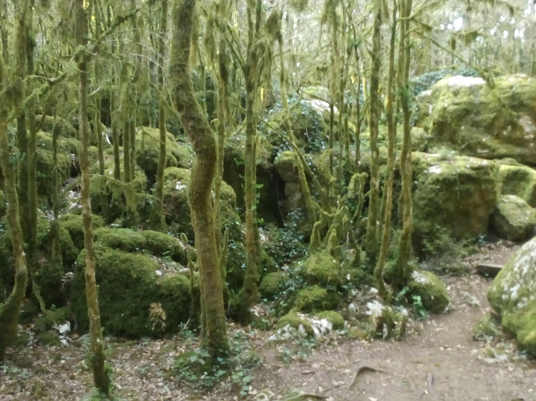 The Labyrinth Verte-Nebias必去景点