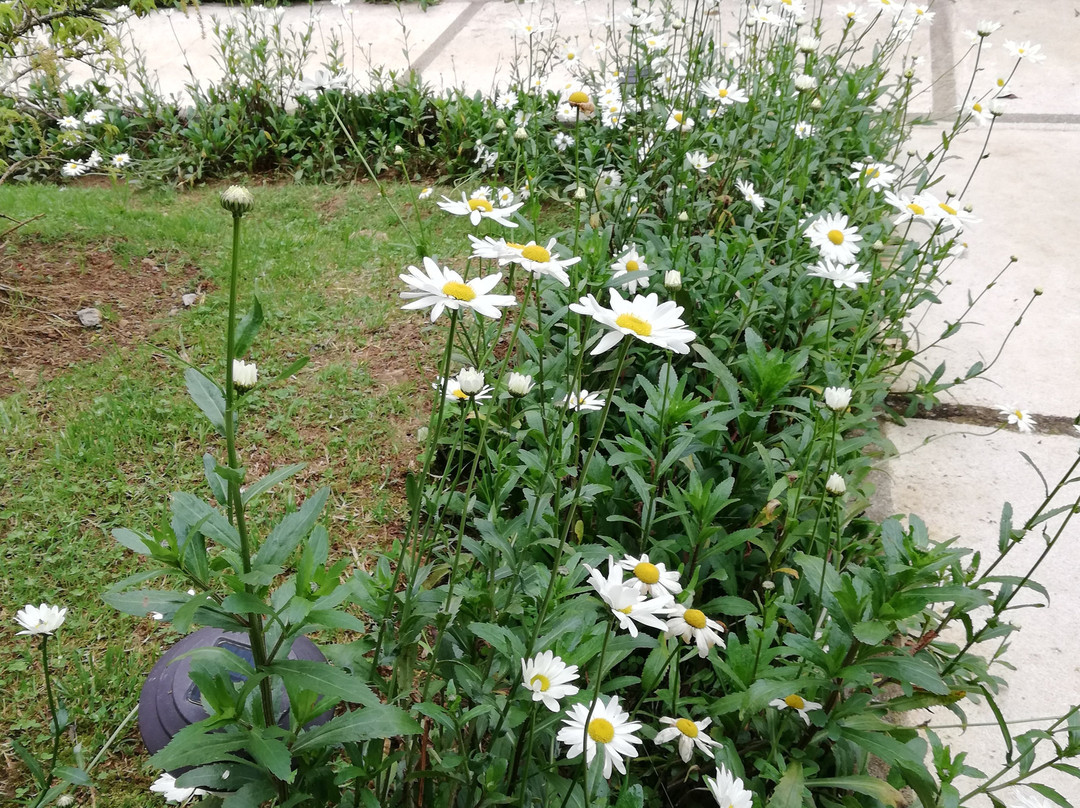 Hotel de Montaña Suria主图