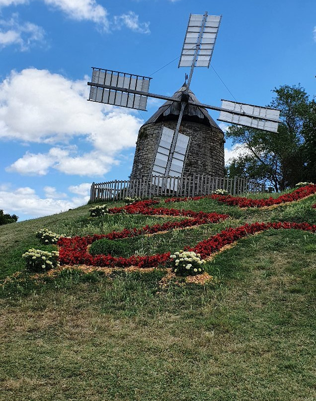 Village Medieval de Lautrec-Lautrec必去景点