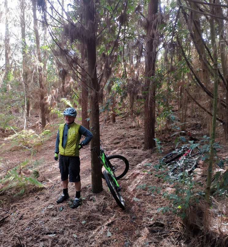 Onepu Mountain Bike Park景点图片