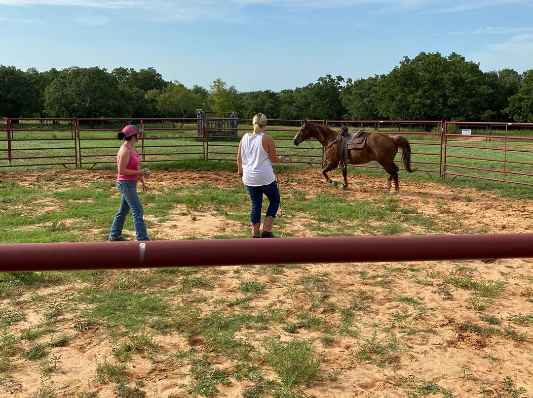 Wright Direction Horsemanship-Alvord必去景点