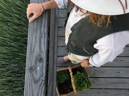 Folded Hills Farmstead-戈利塔必去景点