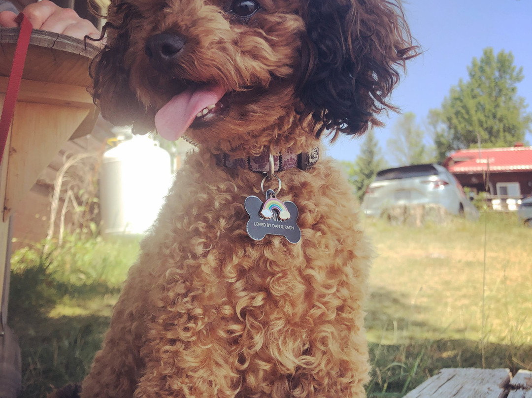 Viamede Resort主图